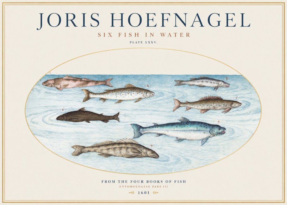 Joris Hoefnagel Six Fishes in Water I No5 - Plakát