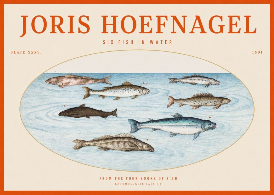 Joris Hoefnagel Six Fishes in Water I No6 - Plakát