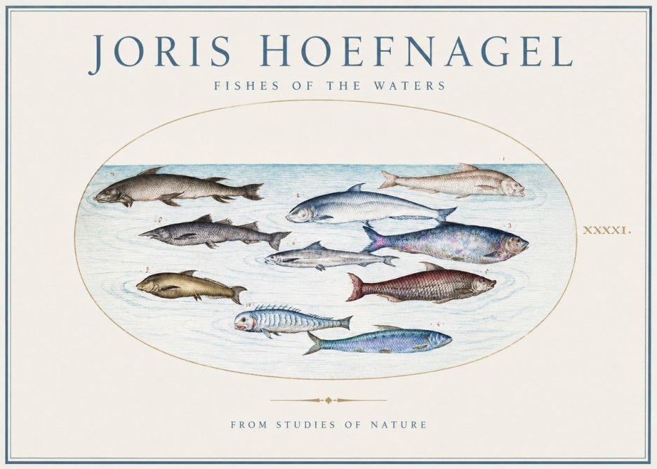 Joris Hoefnagel Fishes of the Waters II No1 - Plakát