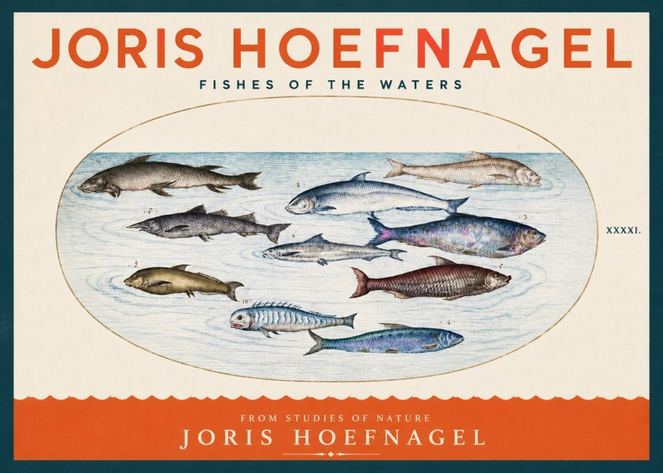 Joris Hoefnagel Fishes of the Waters II No2 - Plakát