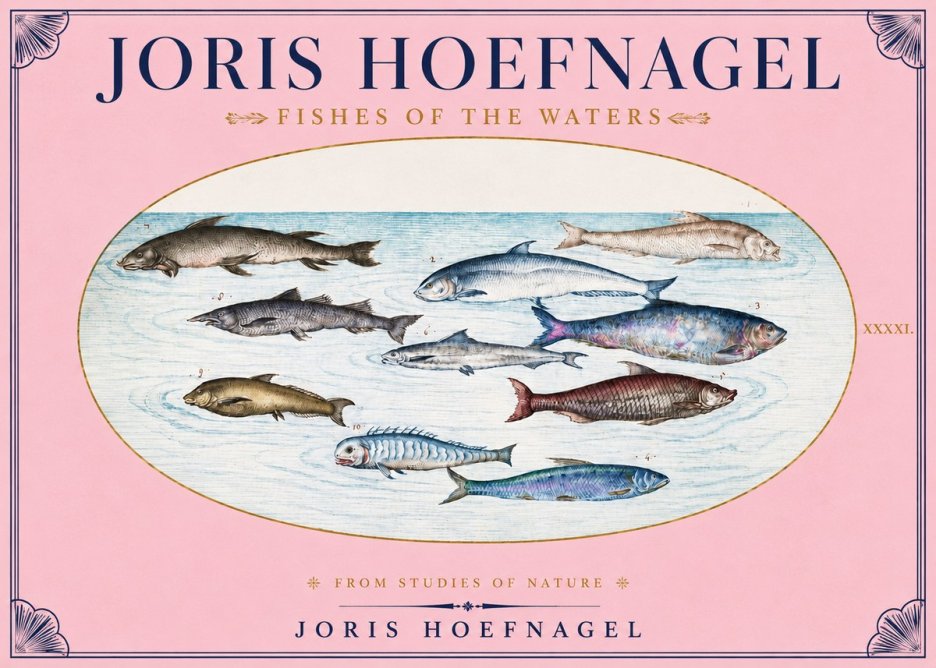 Joris Hoefnagel Fishes of the Waters II No3 - Plakát
