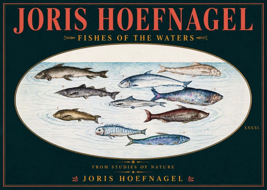 Joris Hoefnagel Fishes of the Waters II No6 - Plakát