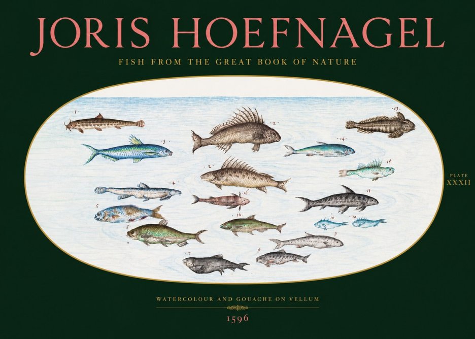 Joris Hoefnagel Fish from the Great Book of Nature No2 - Plakát