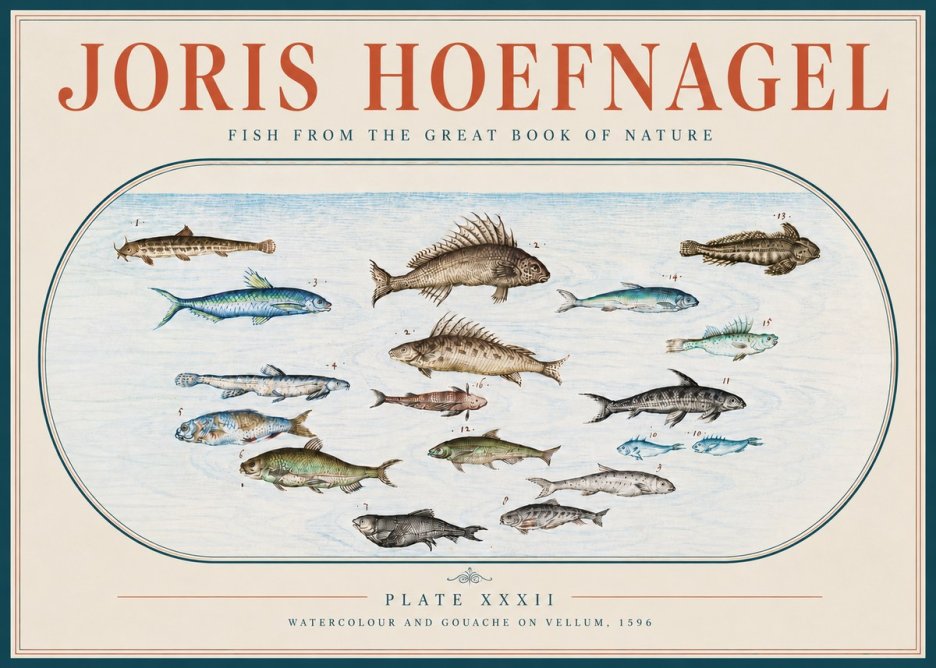 Joris Hoefnagel Fish from the Great Book of Nature No4 - Plakát