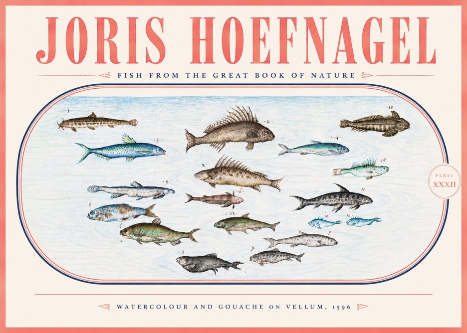 Joris Hoefnagel Fish from the Great Book of Nature No5 - Plakát