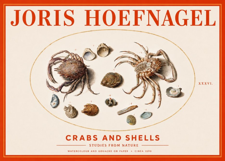 Joris Hoefnagel Crabs and Shells - Studies from Nature No3 - Plakát