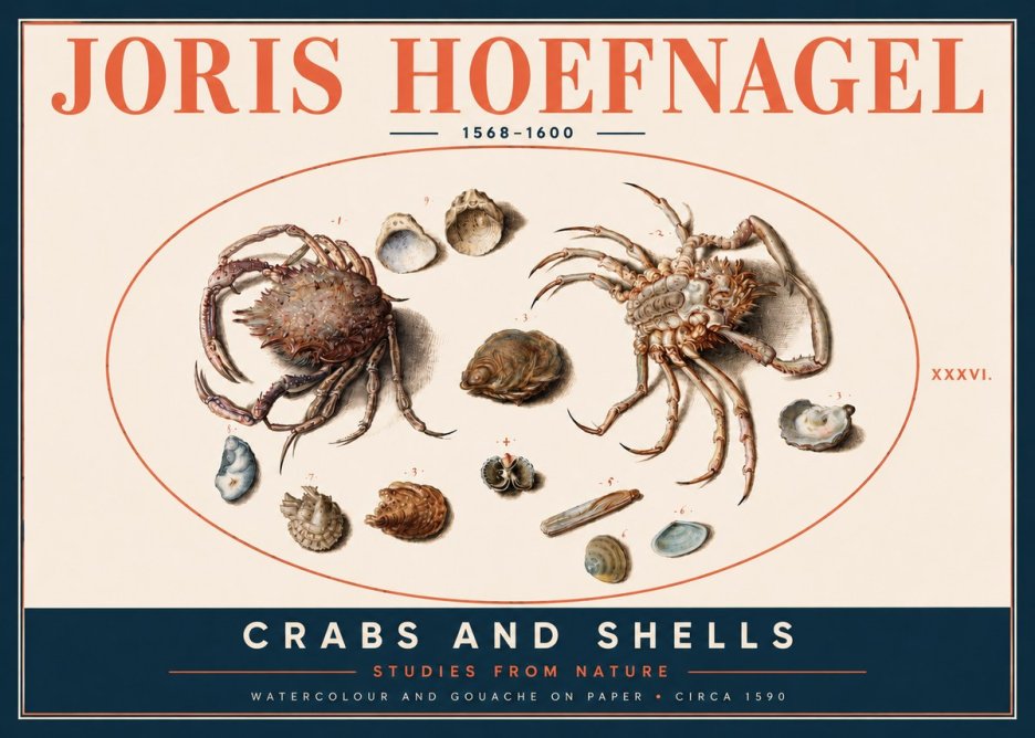 Joris Hoefnagel Crabs and Shells - Studies from Nature No4 - Plakát
