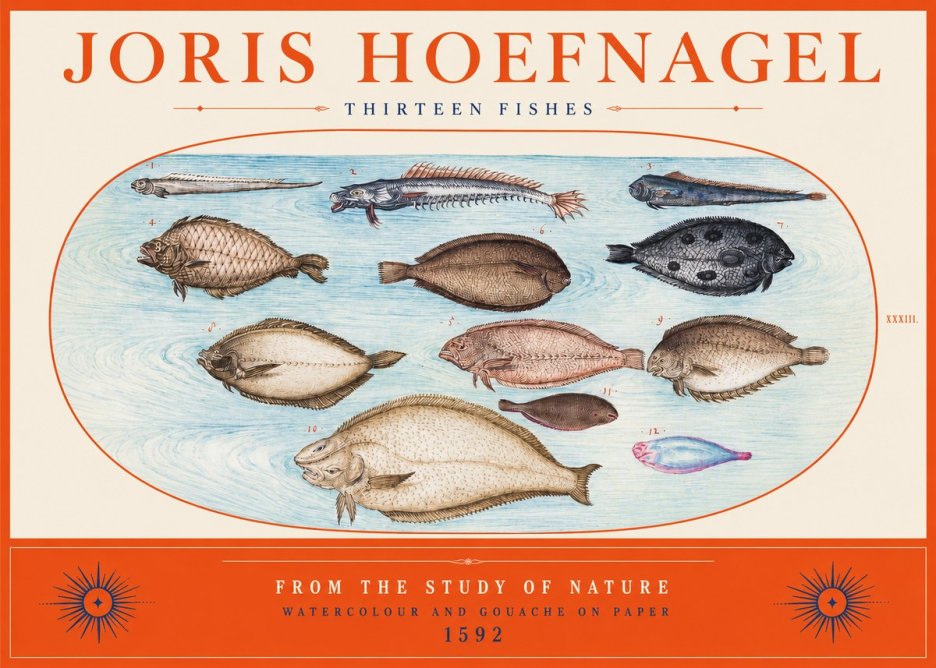 Joris Hoefnagel Thirteen Fishes from the Study of Nature No2 - Plakát