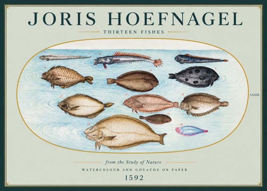 Joris Hoefnagel Thirteen Fishes from the Study of Nature No3 - Plakát