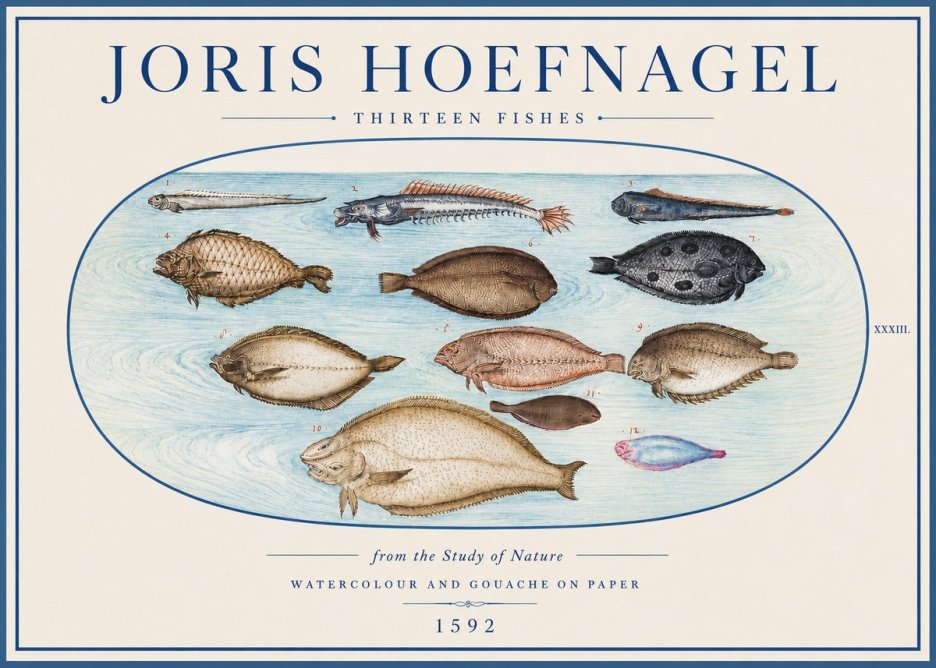 Joris Hoefnagel Thirteen Fishes from the Study of Nature No4 - Plakát