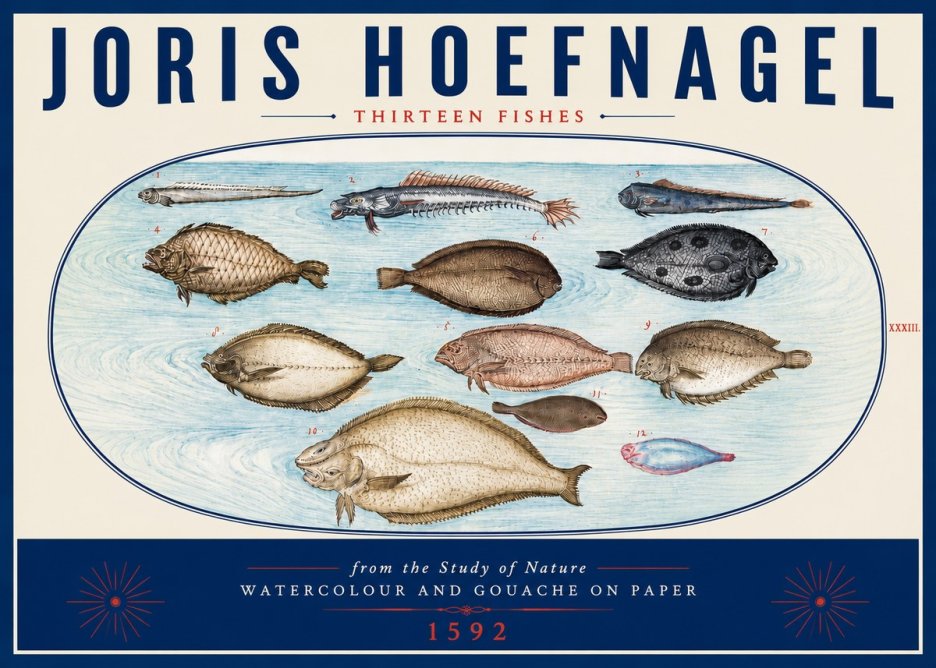 Joris Hoefnagel Thirteen Fishes from the Study of Nature No6 - Plakát