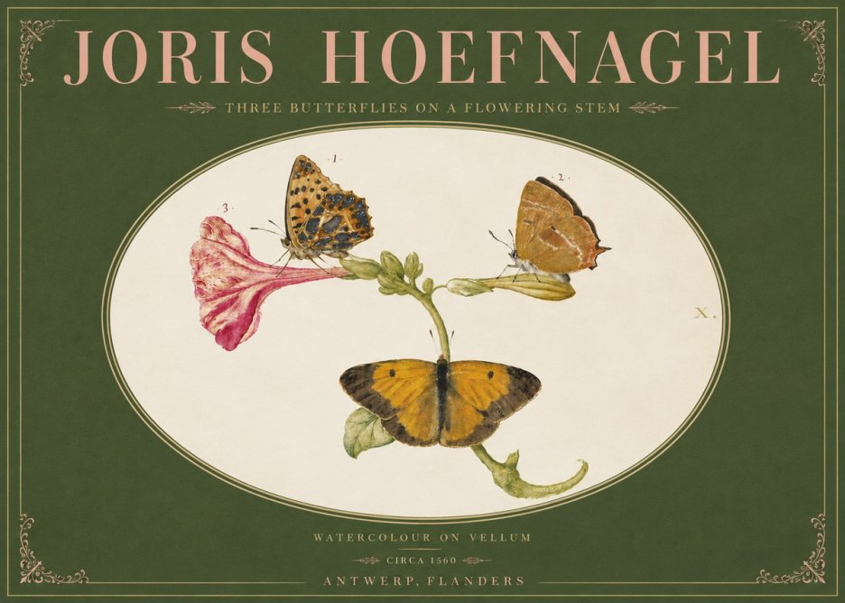 Joris Hoefnagel Three Butterflies on a Flowering Stem No4 - Plakát