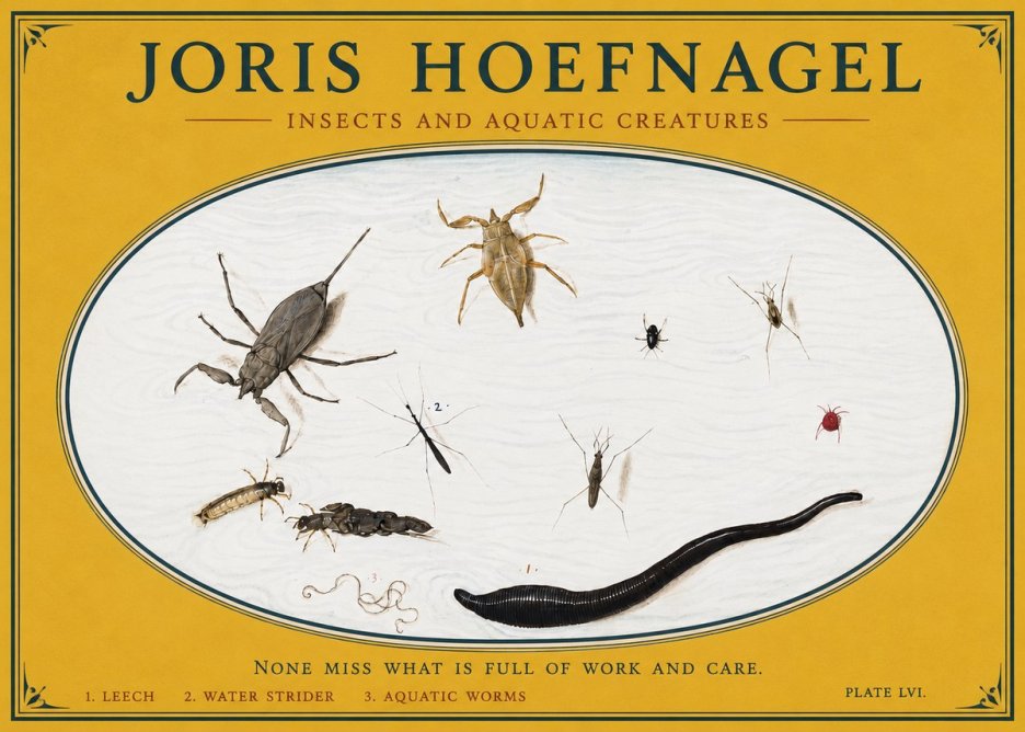 Joris Hoefnagel Insects and Aquatic Creatures No3 - Plakát