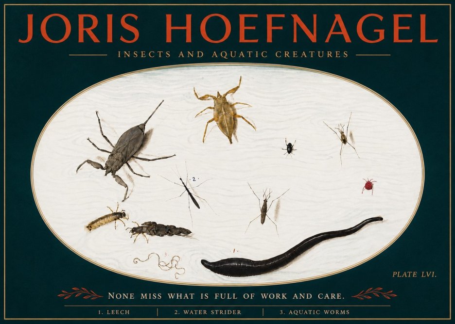 Joris Hoefnagel Insects and Aquatic Creatures No4 - Plakát