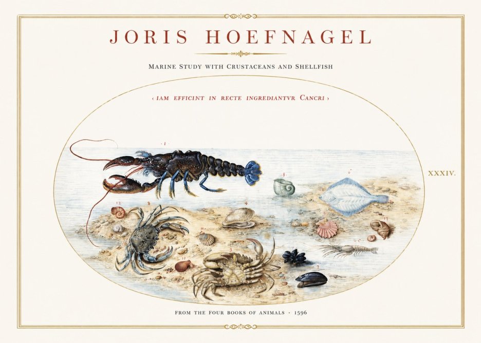 Joris Hoefnagel Marine Study with Crustaceans and Shellfish No1 - Plakát