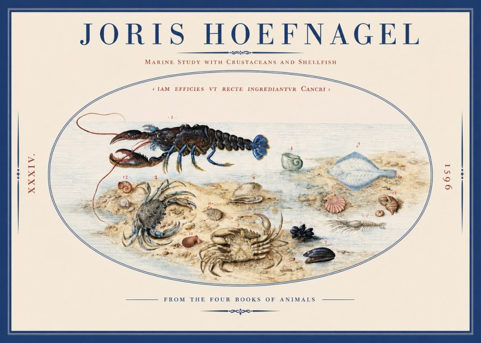 Joris Hoefnagel Marine Study with Crustaceans and Shellfish No2 - Plakát