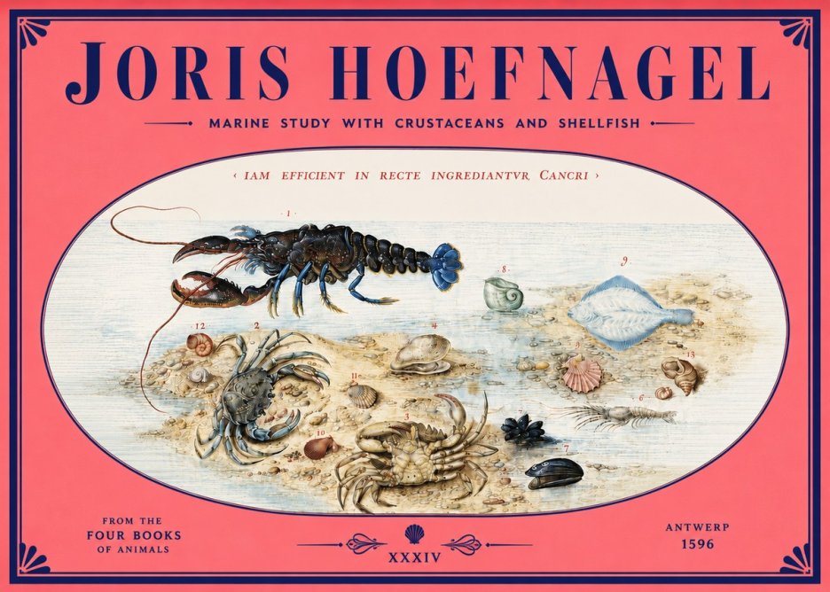 Joris Hoefnagel Marine Study with Crustaceans and Shellfish No4 - Plakát
