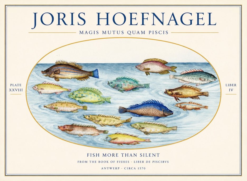 Joris Hoefnagel Fish More Than Silent No1 - Plakát