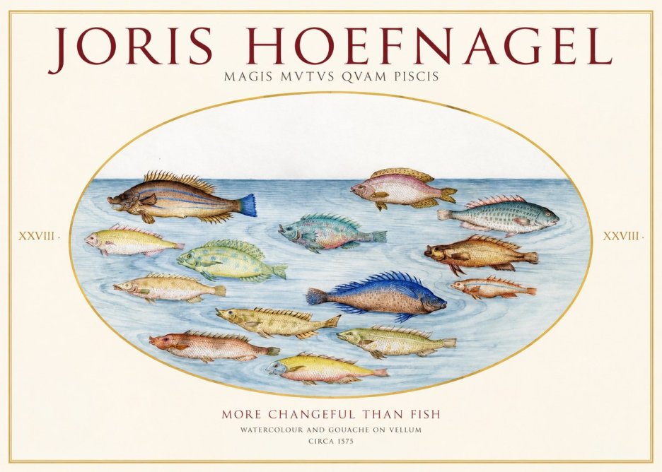 Joris Hoefnagel Fish More Than Silent No2 - Plakát