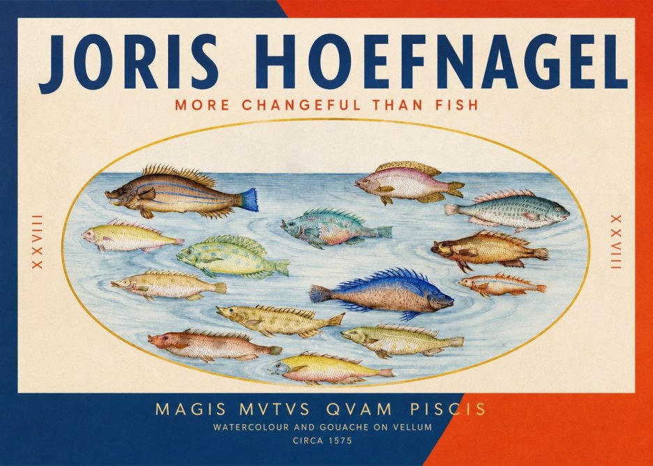 Joris Hoefnagel Fish More Than Silent No3 - Plakát