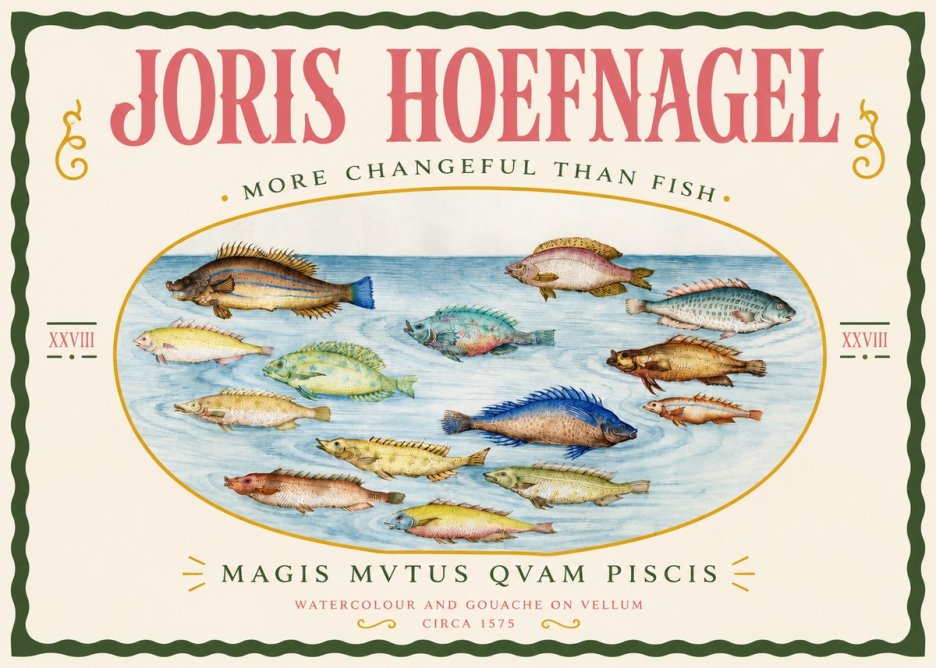 Joris Hoefnagel Fish More Than Silent No4 - Plakát