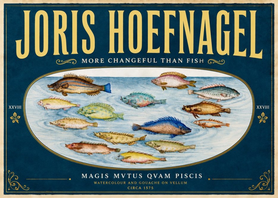 Joris Hoefnagel Fish More Than Silent No6 - Plakát