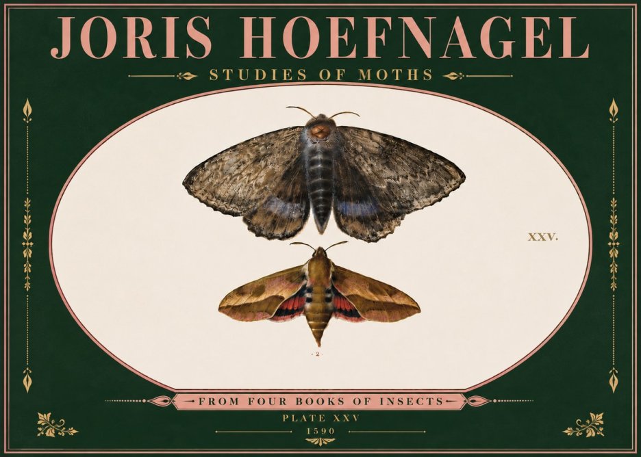Joris Hoefnagel Studies of Moths I No6 - Plakát