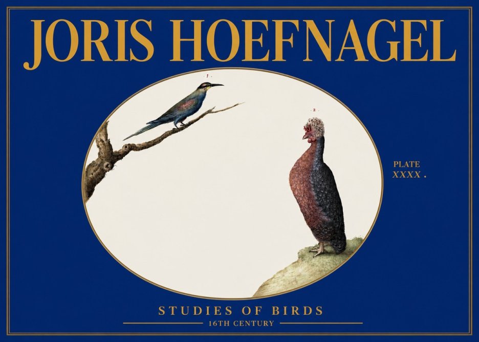 Joris Hoefnagel Studies of Birds I No3 - Plakát