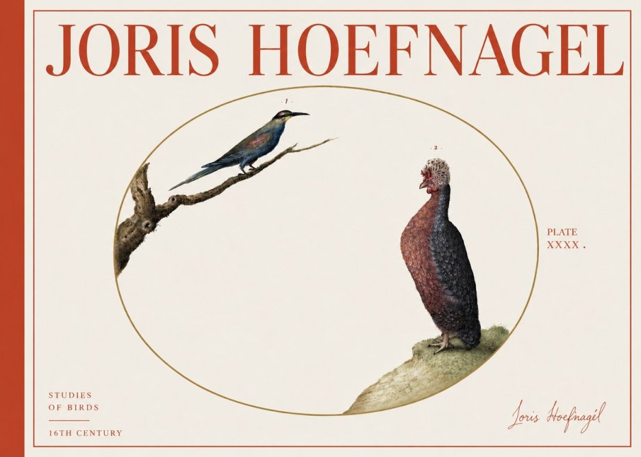 Joris Hoefnagel Studies of Birds I No4 - Plakát