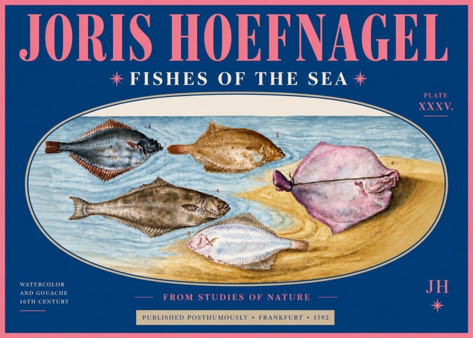 Joris Hoefnagel Fishes of the Sea II No4 - Plakát