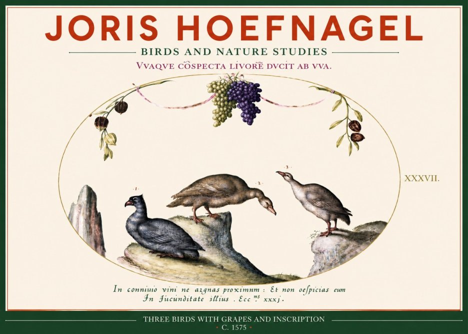 Joris Hoefnagel Three Birds with Grapes and Inscription No2 - Plakát