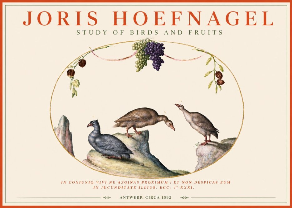 Joris Hoefnagel Three Birds with Grapes and Inscription No4 - Plakát