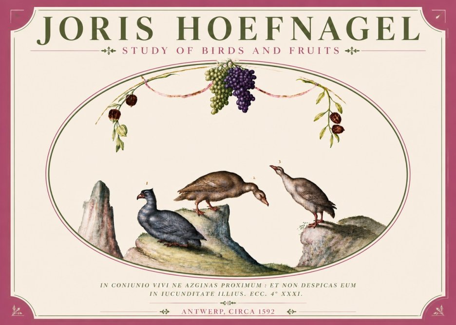 Joris Hoefnagel Three Birds with Grapes and Inscription No6 - Plakát