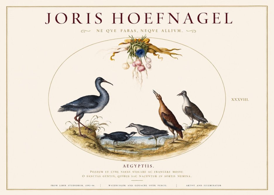Joris Hoefnagel Aegyptiis. No1 - Plakát