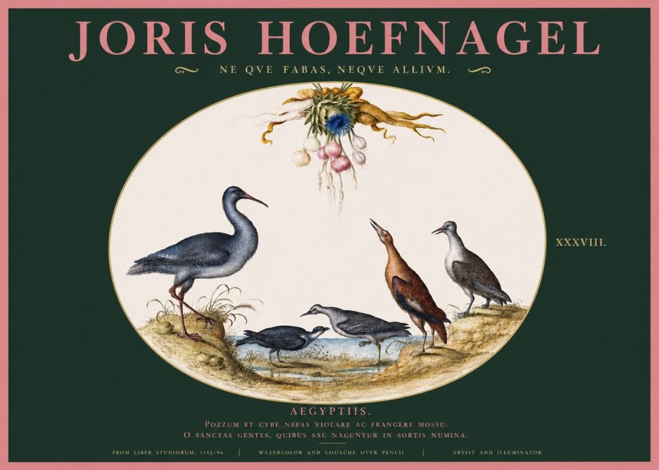 Joris Hoefnagel Aegyptiis. No2 - Plakát