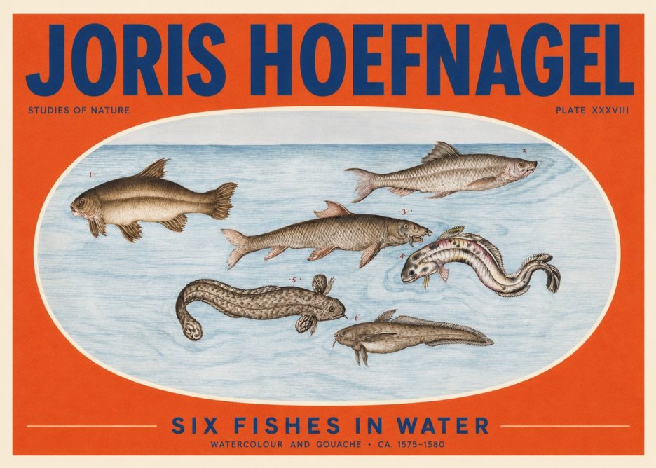Joris Hoefnagel Six Fishes in Water II No2 - Plakát