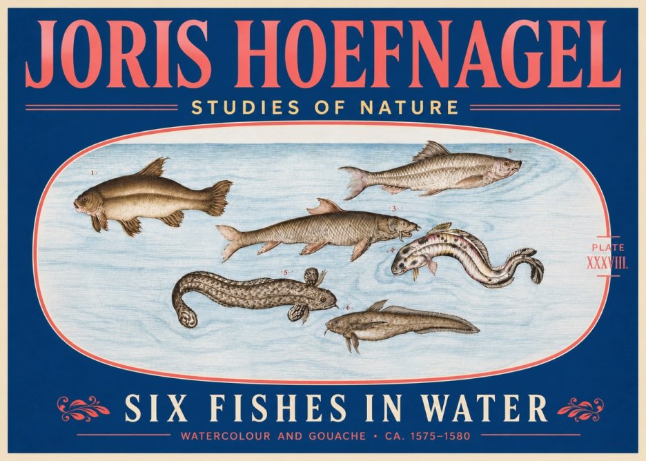 Joris Hoefnagel Six Fishes in Water II No5 - Plakát