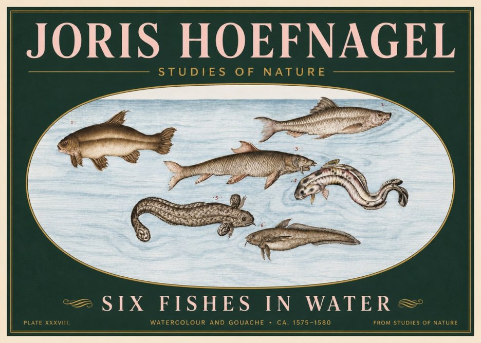 Joris Hoefnagel Six Fishes in Water II No6 - Plakát