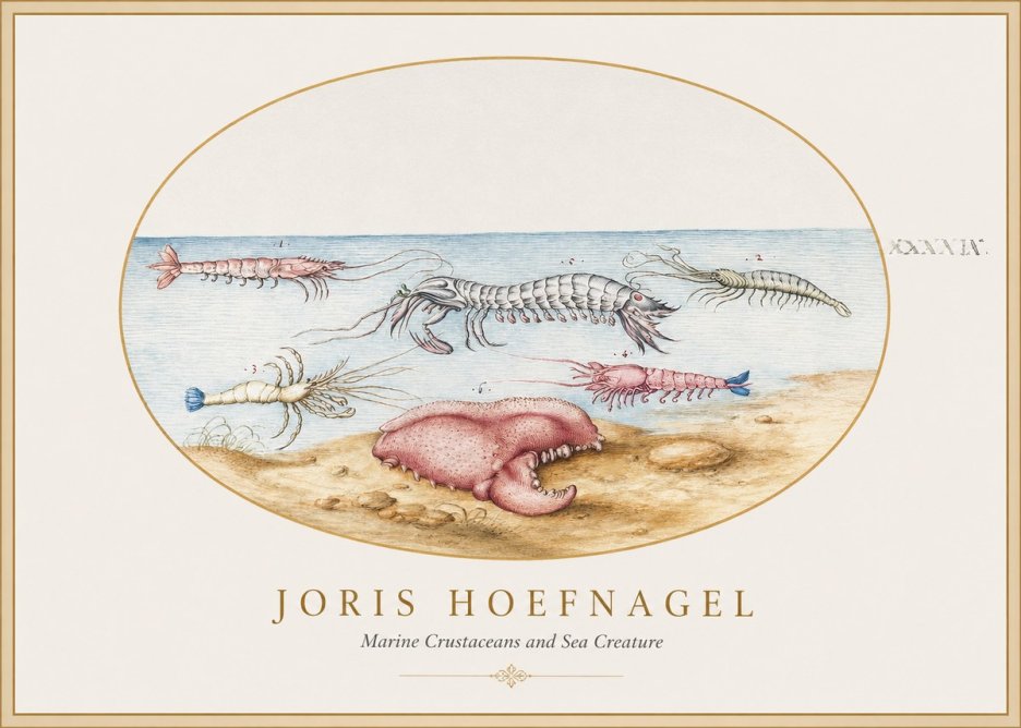 Joris Hoefnagel Marine Crustaceans and Sea Creature No1 - Plakát