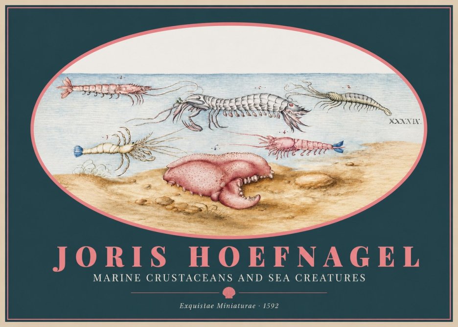 Joris Hoefnagel Marine Crustaceans and Sea Creature No2 - Plakát