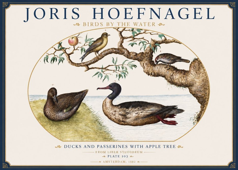 Joris Hoefnagel Ducks and Passerines with Apple Tree No3 - Plakát