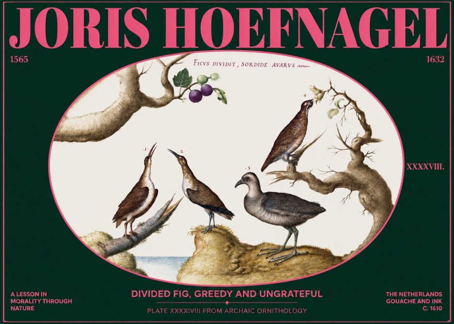 Joris Hoefnagel Birds from the Four Parts of the World No3 - Plakát