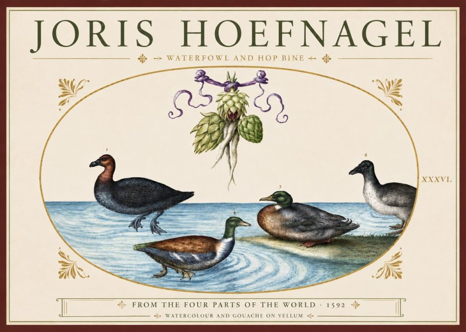 Joris Hoefnagel Waterfowl and Hop Bine No3 - Plakát
