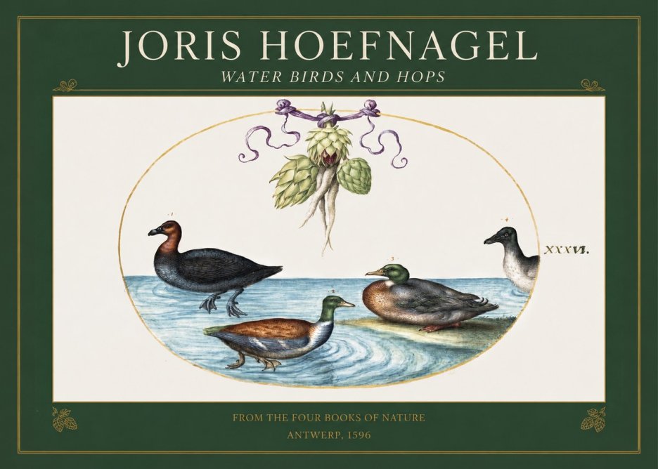 Joris Hoefnagel Waterfowl and Hop Bine No5 - Plakát
