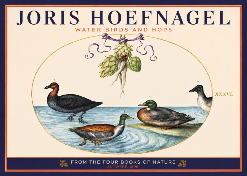 Joris Hoefnagel Waterfowl and Hop Bine No6 - Plakát