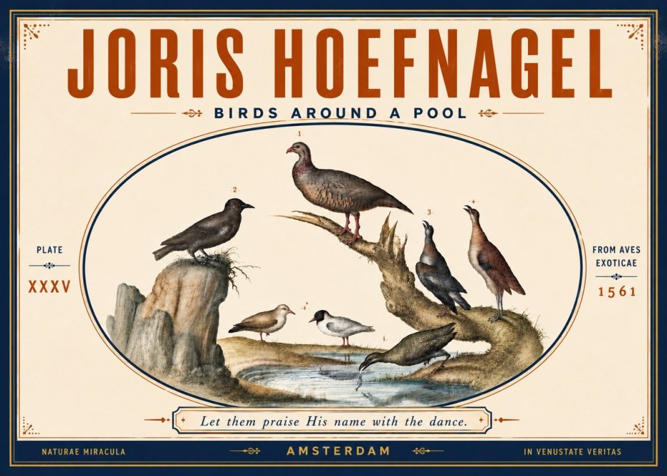 Joris Hoefnagel Birds Around a Pool No5 - Plakát