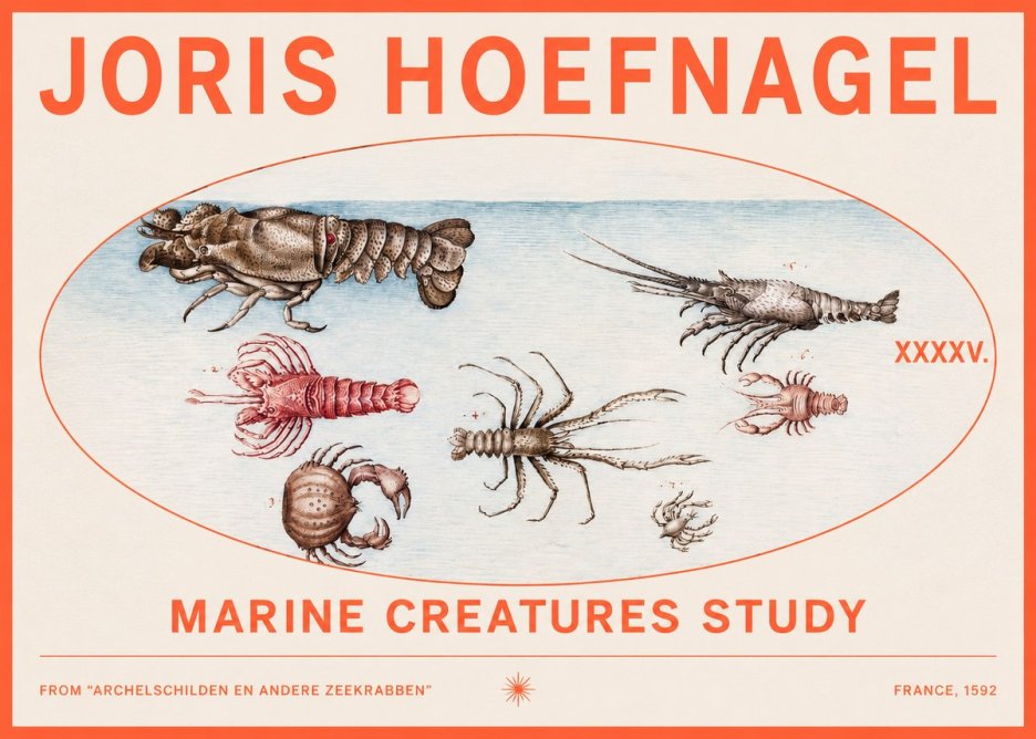 Joris Hoefnagel Studies of Crustaceans No3 - Plakát