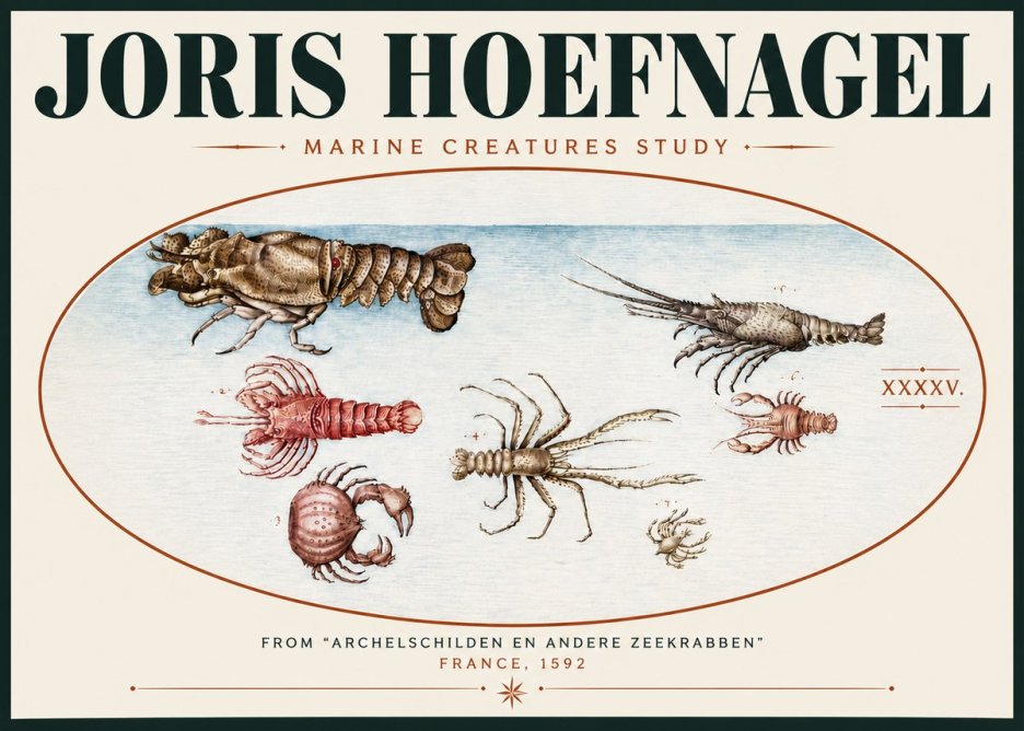Joris Hoefnagel Studies of Crustaceans No6 - Plakát