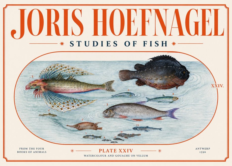 Joris Hoefnagel Studies of Fish II No4 - Plakát