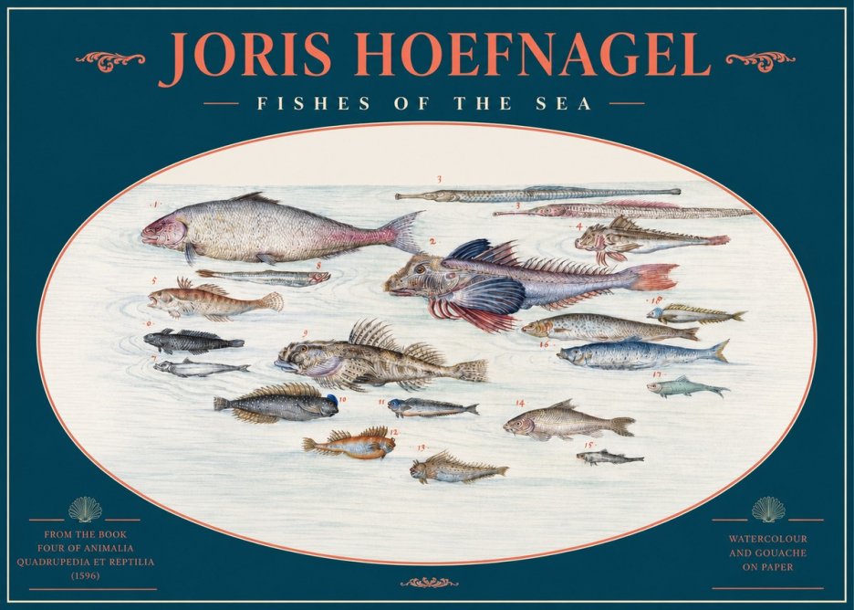 Joris Hoefnagel Fishes of the Sea III No2 - Plakát